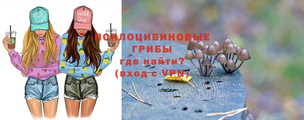 гидра Богородск