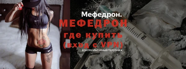 гидра Богородск
