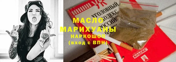 гидра Богородск