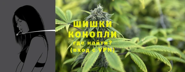 гидра Богородск