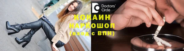 гидра Богородск