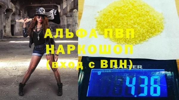 гидра Богородск