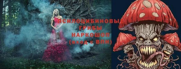 СК Богданович