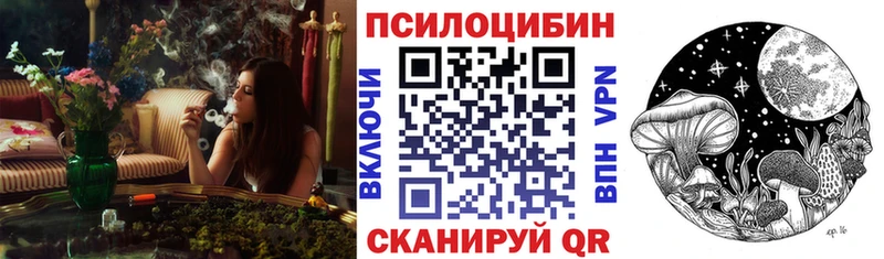 Купить закладки  Сим  Псилоцибиновые грибы Psilocybe 